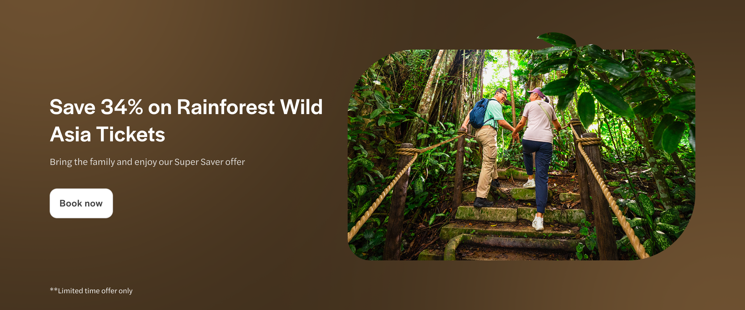 Couple hiking through lush rainforest in Asia, exploring nature trail.